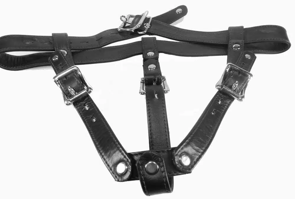 Leather Butt plug Harness - Image 3