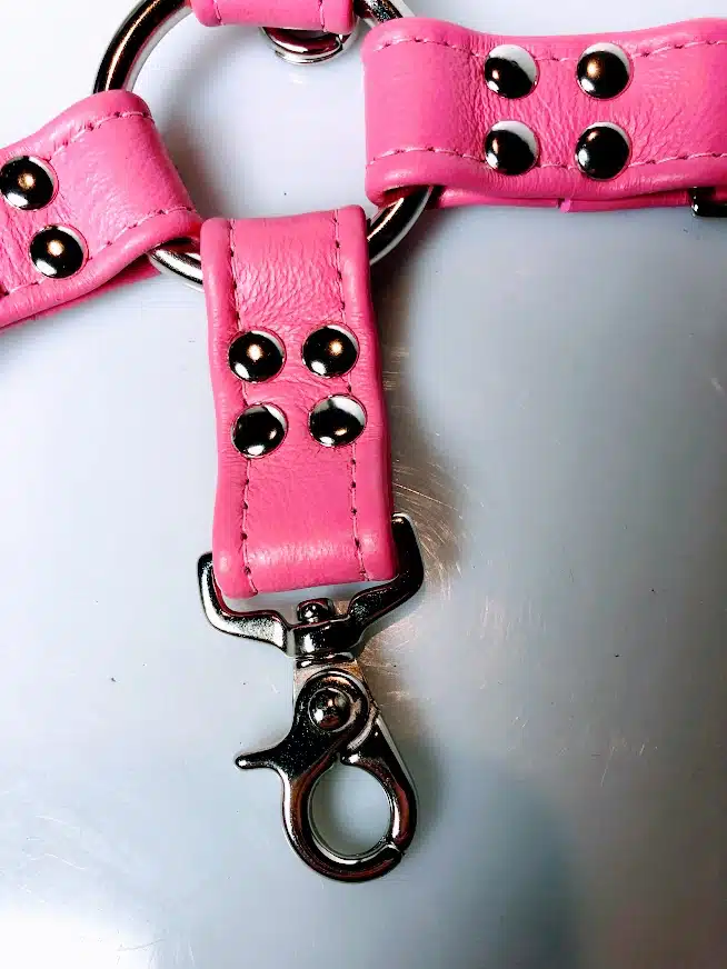Leather Hog Tie - Image 5
