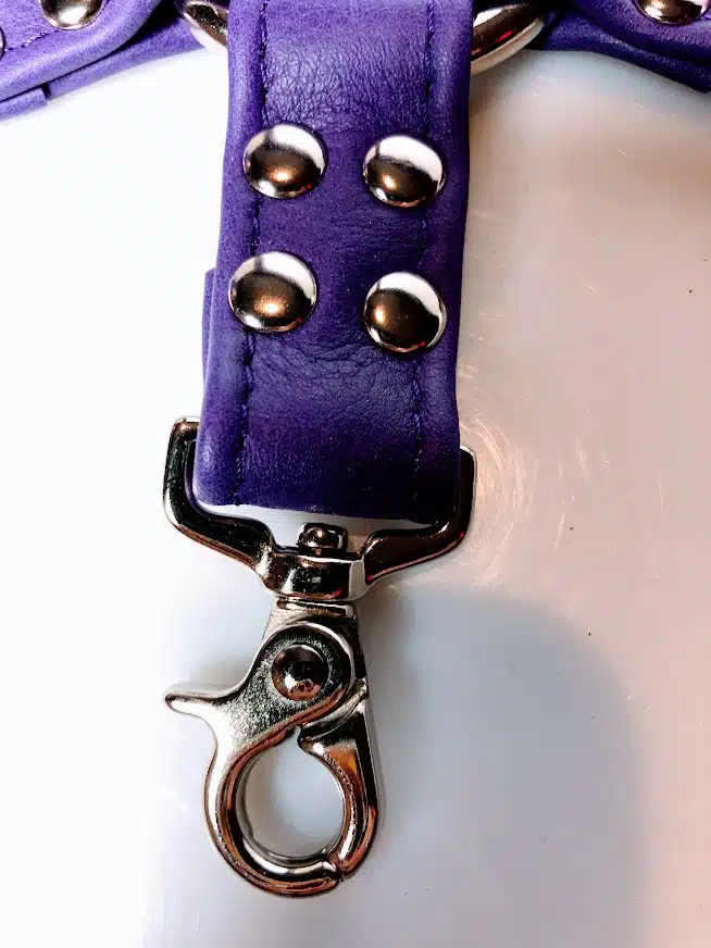 Leather Hog Tie - Image 7