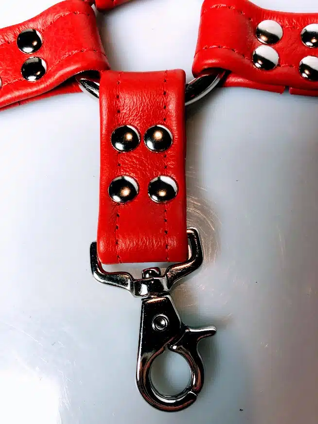 Leather Hog Tie - Image 9