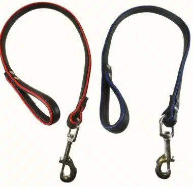 Black Leather Leash with Colored Piping