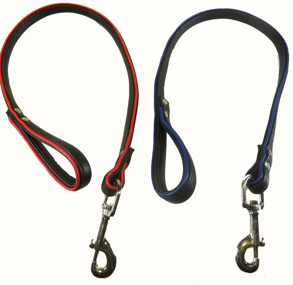Black Leather Leash with Colored Piping