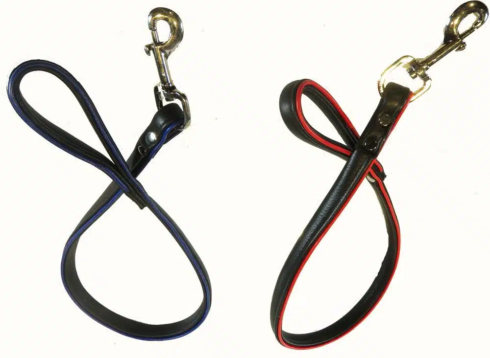 Black Leather Leash with Colored Piping - Image 2