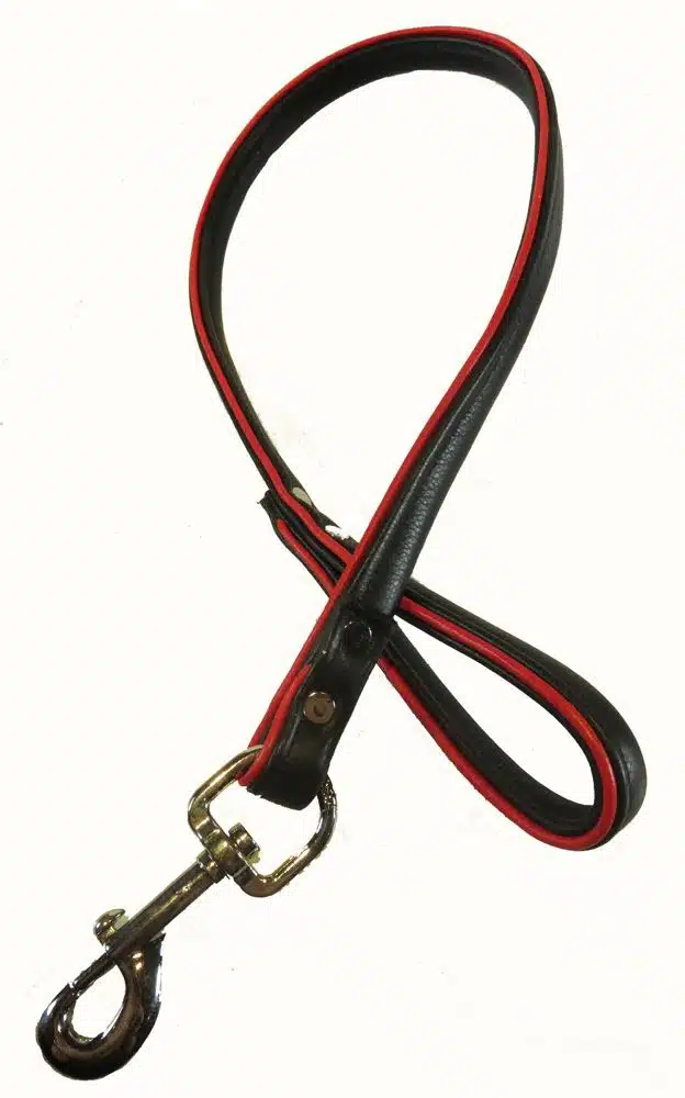Black Leather Leash with Colored Piping - Image 3