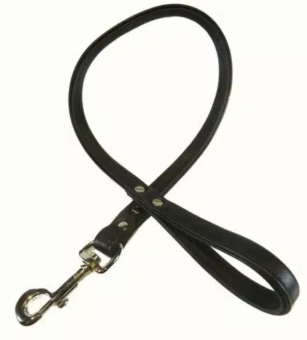Black Leather Padded Leash