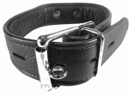 Black Leather Collar with O-ring and Locking Buckle - Image 3