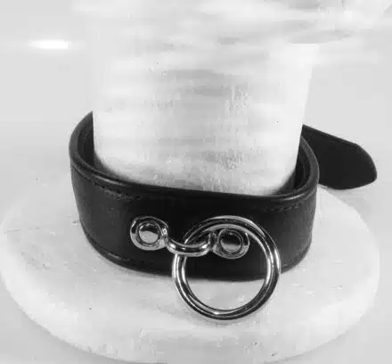 Black Leather Collar with O-ring and Locking Buckle