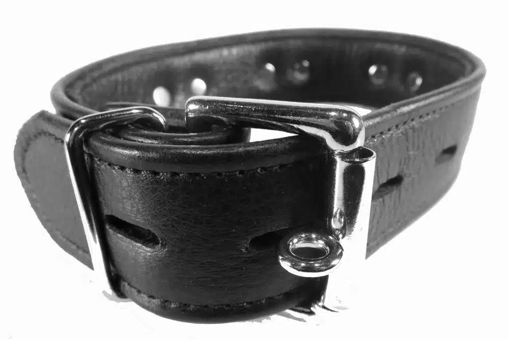 Black Leather Collar with 3 O-rings and Locking Buckle - Image 3