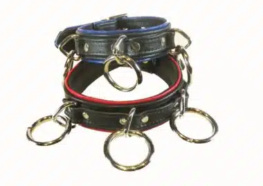 Black Leather Collar with Colored Piping, Three O-rings and Locking Buckle