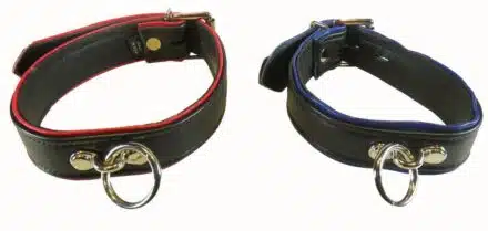 Black Leather Collar with Colored Piping, One O-ring and Locking Buckle - Image 2
