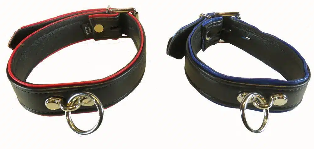 Black Leather Collar with Colored Piping, One O-ring and Locking Buckle - Image 2
