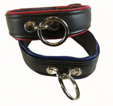 Black Leather Collar with Colored Piping, One O-ring and Locking Buckle