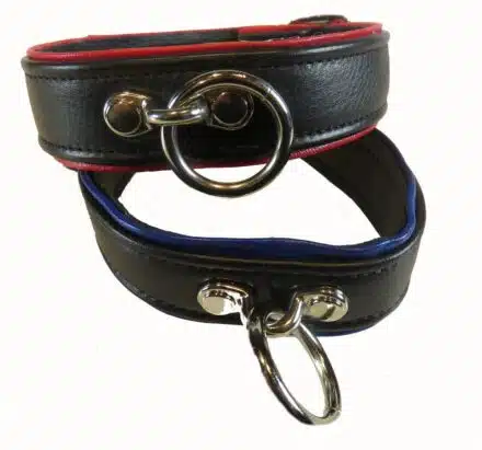 Black Leather Collar with Colored Piping, One O-ring and Locking Buckle