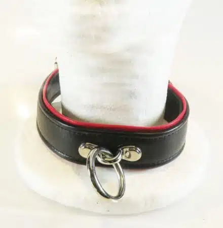 Black Leather Collar with Colored Piping, One O-ring and Locking Buckle - Image 5