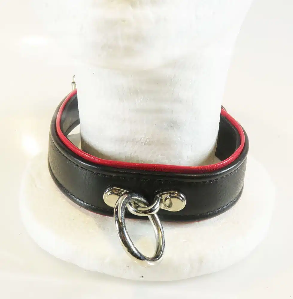 Black Leather Collar with Colored Piping, One O-ring and Locking Buckle - Image 5