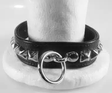 Black Leather Collar, Studded with O-ring and Locking Buckle