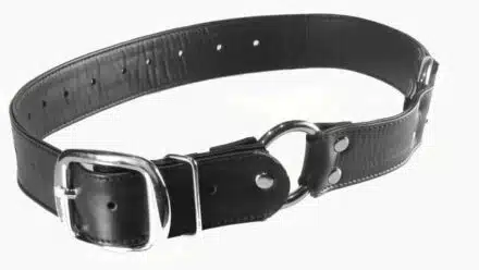 Leather Bondage and Hobble Belt - Image 4