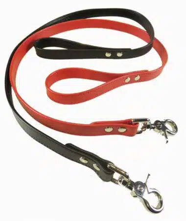 Narrow Leather Leash