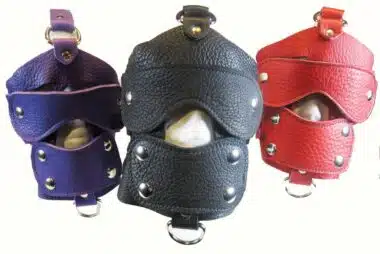 Head Harness with Blindfold and Mouth Cover