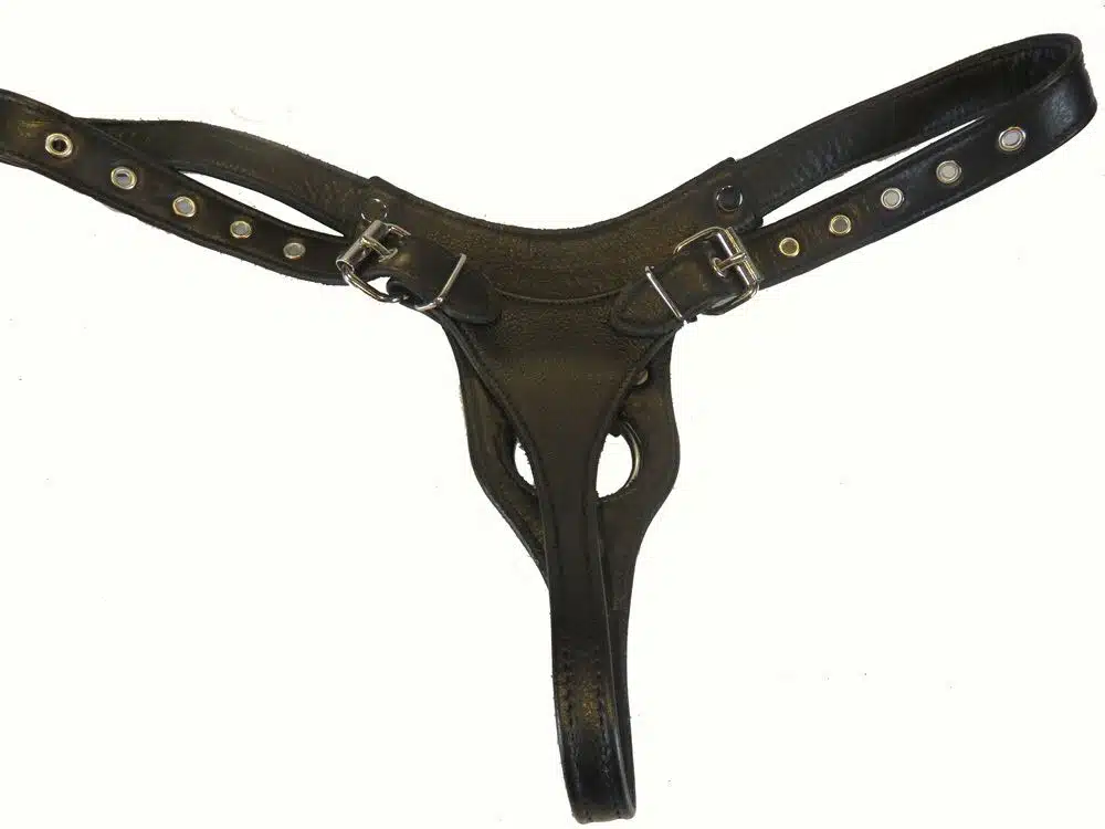 Leather Thong Strap-on Harness - Image 3