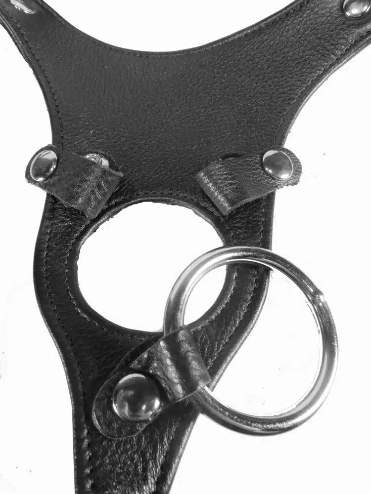 Leather Thong Strap-on Harness - Image 4