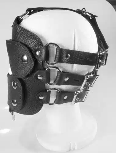Head Harnesses