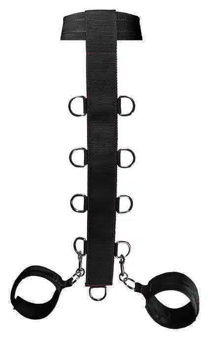 Neck and Wrist Restraint - Image 2
