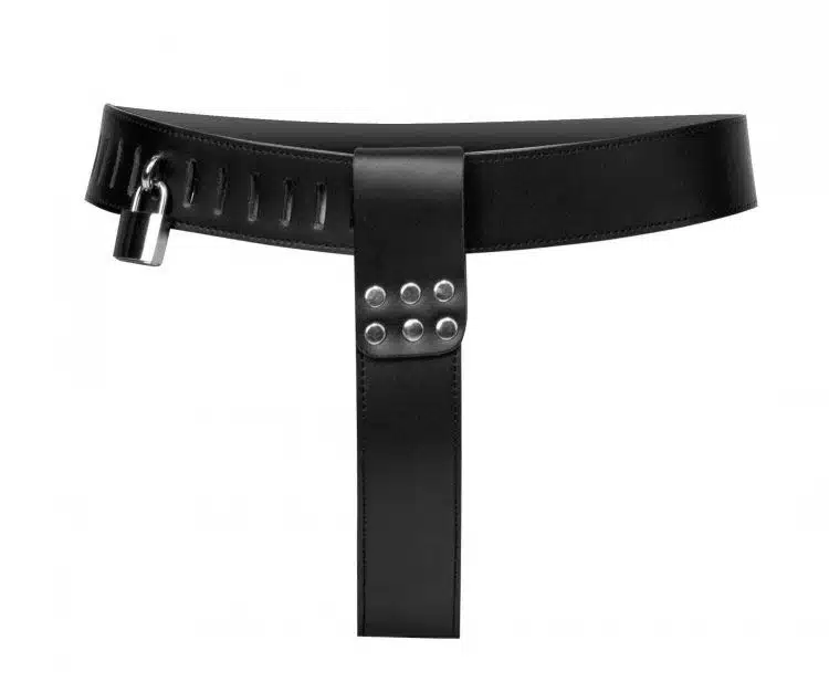 Adjustable Female Chastity Belt - Image 3