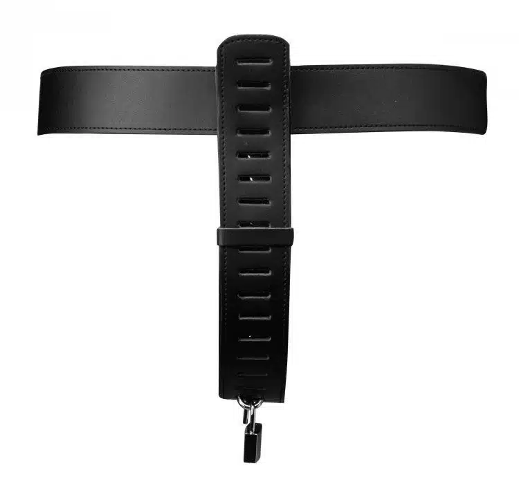 Adjustable Female Chastity Belt - Image 4
