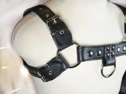 Leather Deluxe Bulldog Harness - Image 2