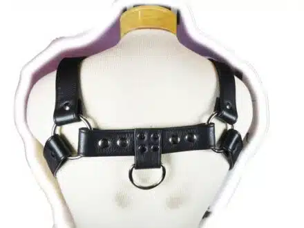 Leather Deluxe Bulldog Harness - Image 4