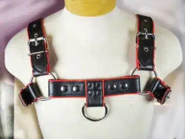 Leather Deluxe Bulldog Harness with Colored Piping