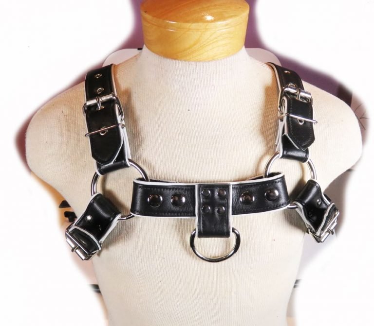  Mens Bulldog Harness of all time The ultimate guide 