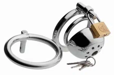 Extreme Chastity Confinement Cage - Image 2