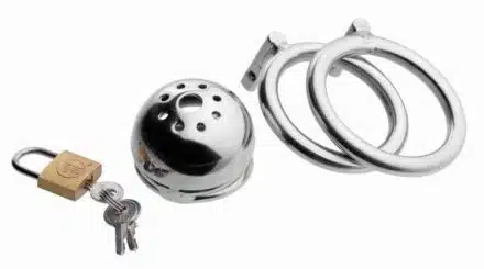Extreme Chastity Confinement Cage - Image 3