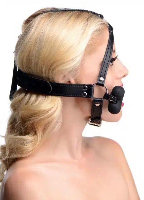 Dog Bone Gag Head Harness - Image 2