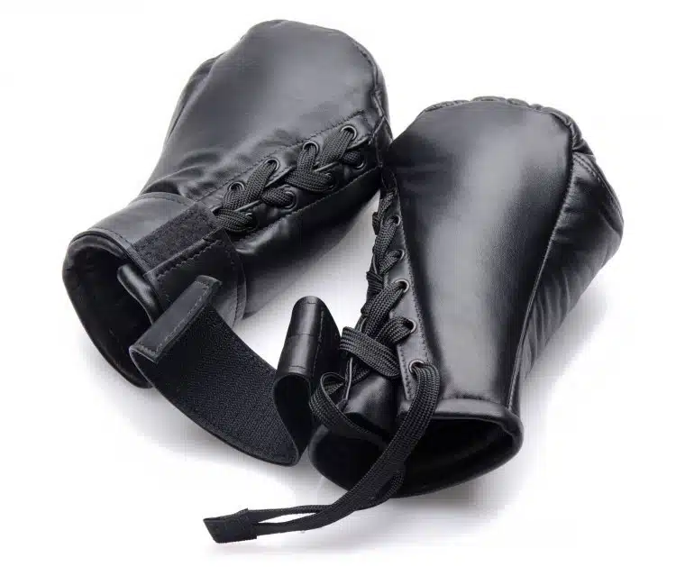 Leather Puppy Mitts - Image 3
