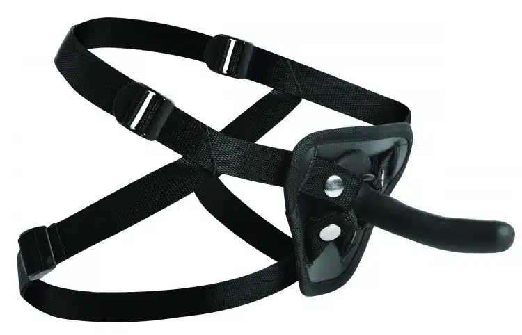Pegging dildo with strap on harness - Image 2