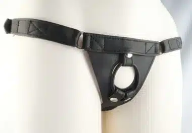 The Driver Deluxe Leather Strap-on Harness for Men  by Aslan