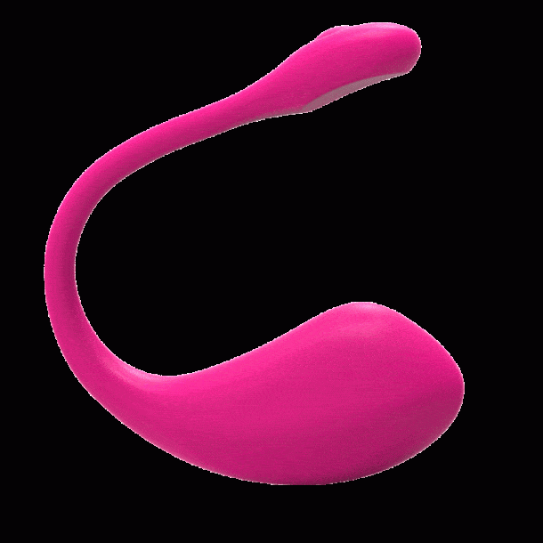 App Controlled GSpot Rechargeable Remot