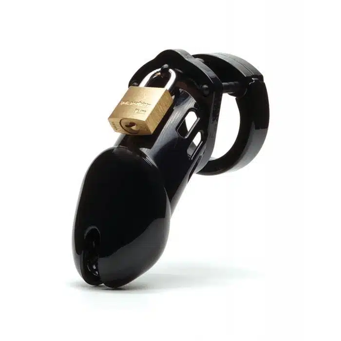 CB-6000 Male Chastity Device - Image 9