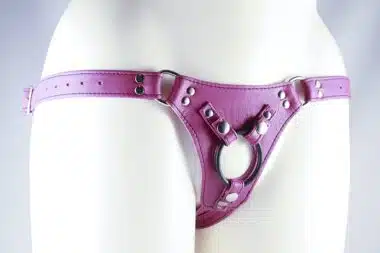 The Nicki Minx Deluxe Leather Strap-on Harness by Aslan