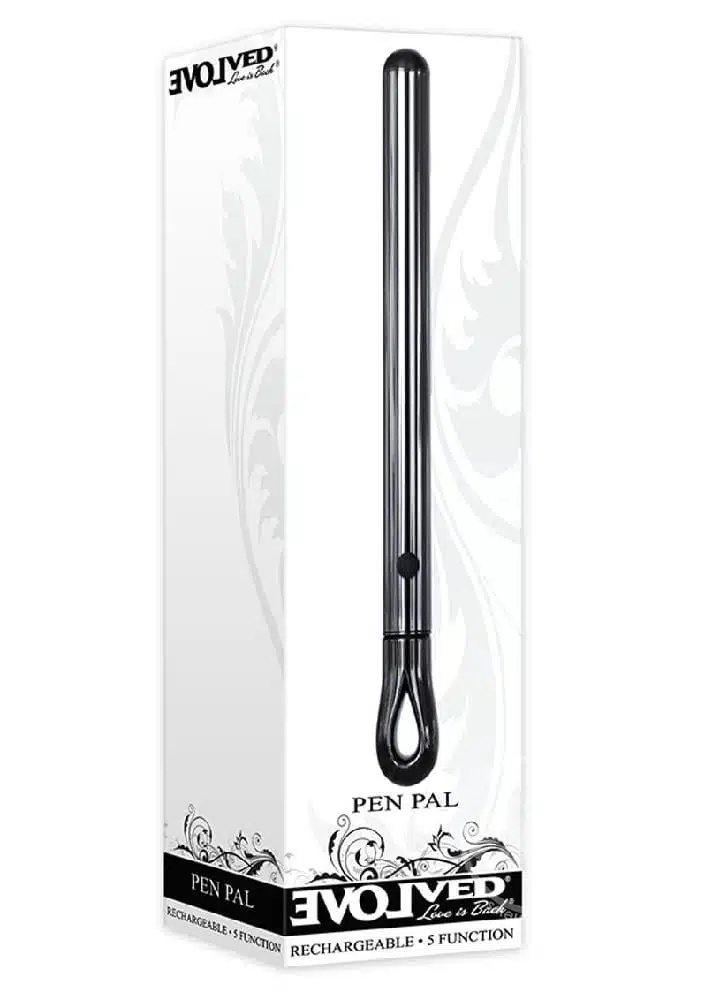 Pen Pal Rechargeable Compact Stainless Steel Vibrator - Image 2