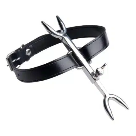 Collar with Heretics Fork - Image 3