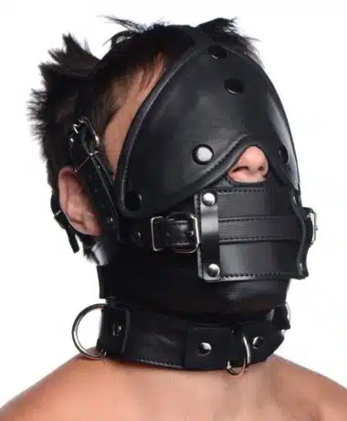 Leather Head Harness with Removeable Gag Blindfold