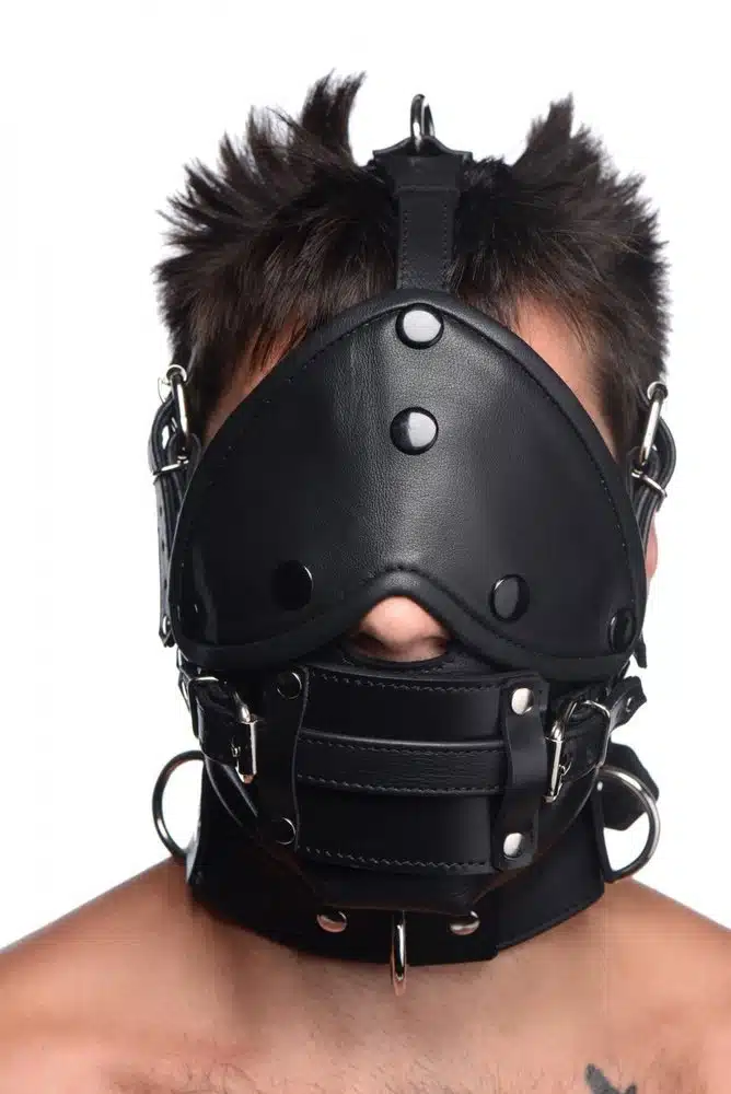Leather Head Harness with Removeable Gag Blindfold - Image 2