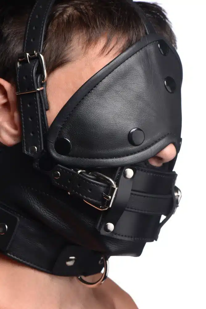 Leather Head Harness with Removeable Gag Blindfold - Image 3