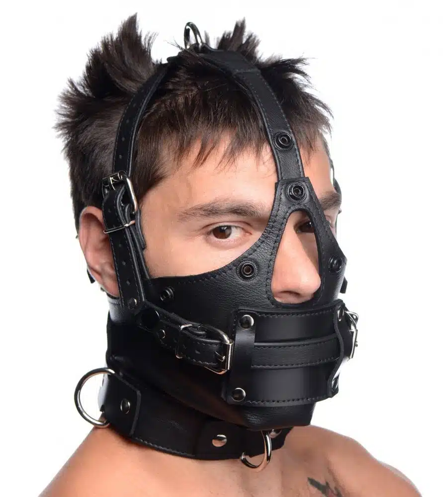 Leather Head Harness with Removeable Gag Blindfold - Image 4