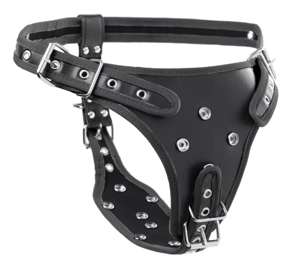 Double Penetration Strap On Harness - Image 8