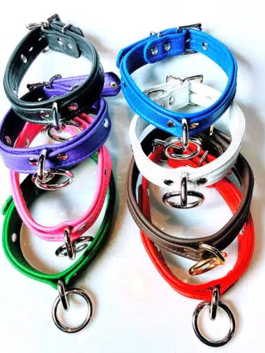 1" Leather Collar with Locking Buckle and one O-ring